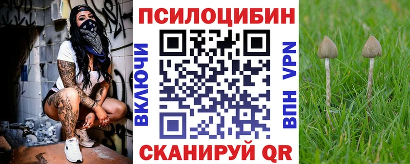 Галлюциногенные грибы мухоморы  где купить наркоту  Ирбит 